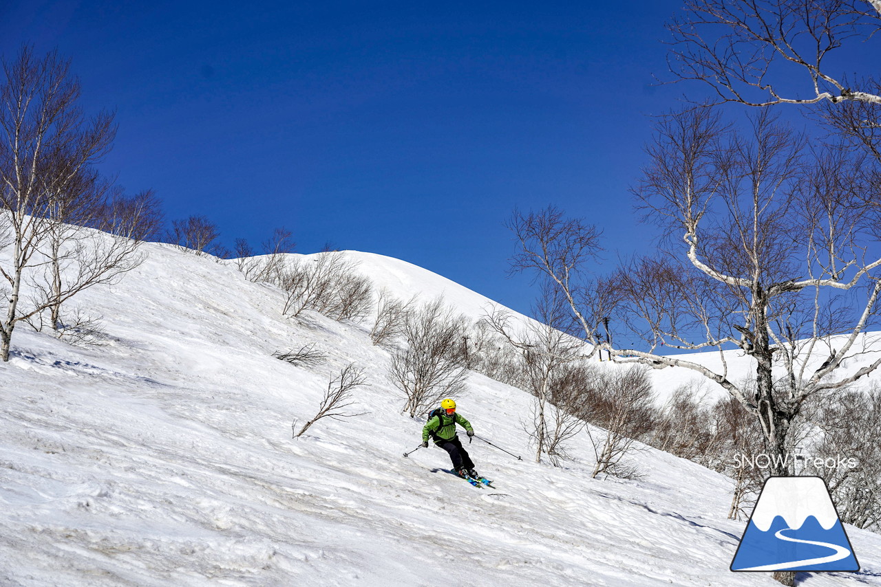 ニセコグラン・ヒラフ DYNASTAR SKI TEST RIDE DAYS Photo Session!!最高の天気に恵まれたニセコに、最高の仲間たちが集まりました☆